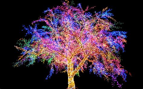 Magic tree christmad tree